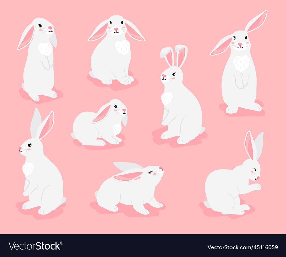 Lustige Hase Haustiere Pose Sammlung chinesisches neues Jahr vector image Lustige Hase Haustiere Pose Sammlung chinesisches neues Jahr