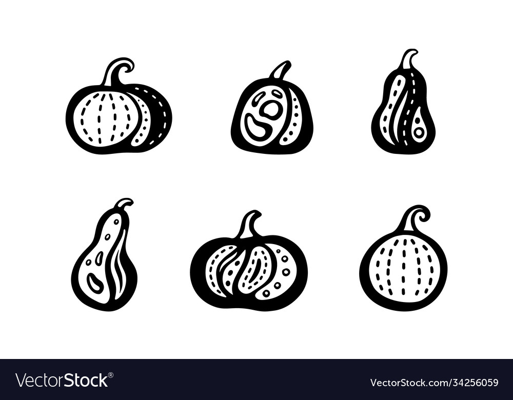 Stylized pumpkin icons set black graphic squash