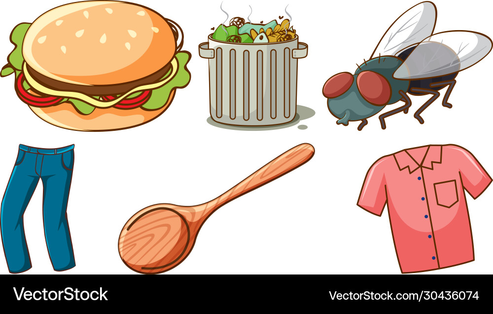 Large set different animals and other objects Vector Image