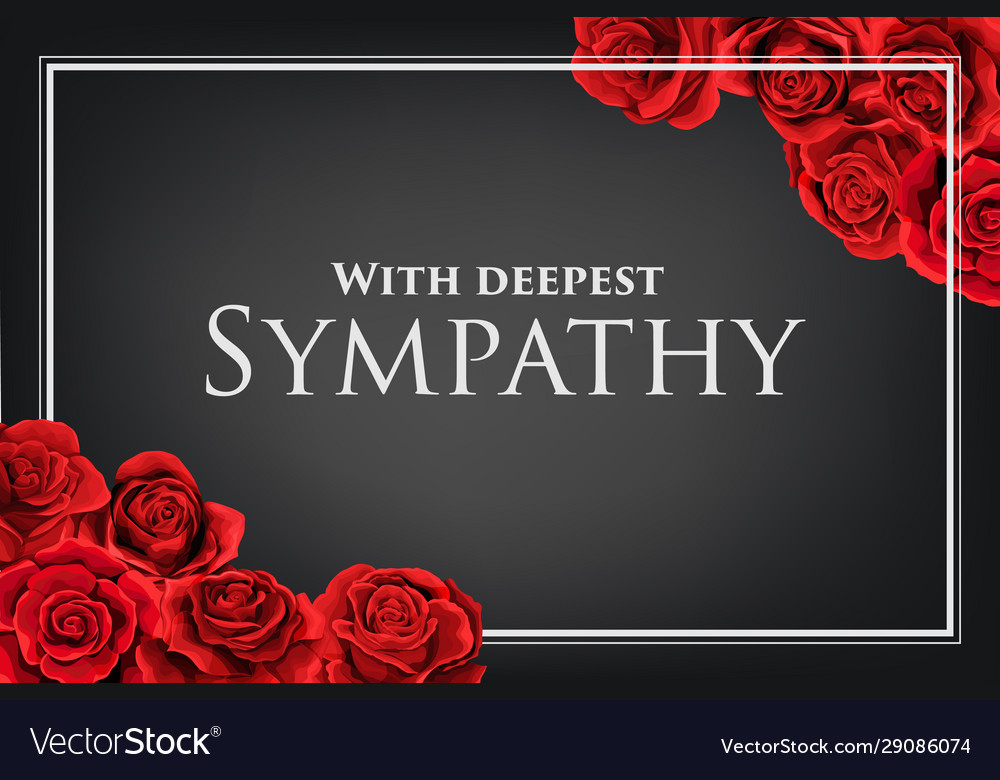 Red rose bouquets with white frame on a dark Vector Image