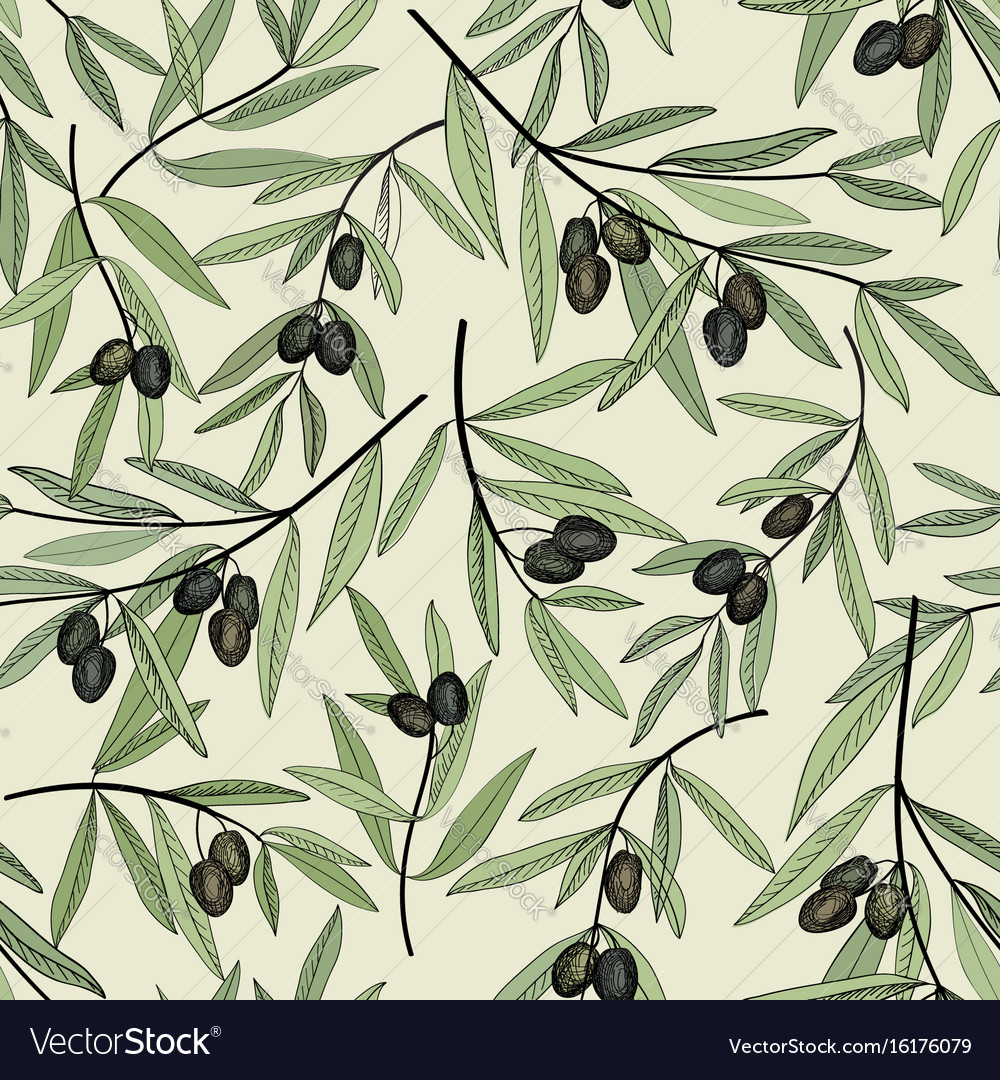 Olive Branch Pattern - Rustic Texture