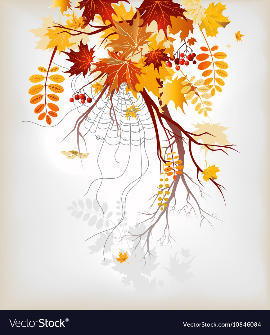 Autumn leaves background