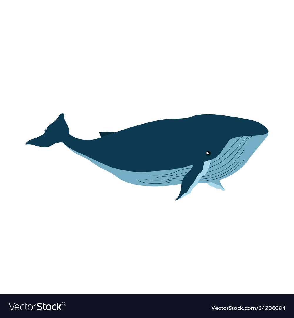 Isolated whale animal design Royalty Free Vector Image