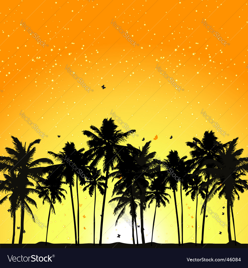 Tropical sunset palm trees