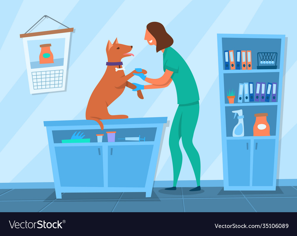 Cartoon color character person girl and veterinary