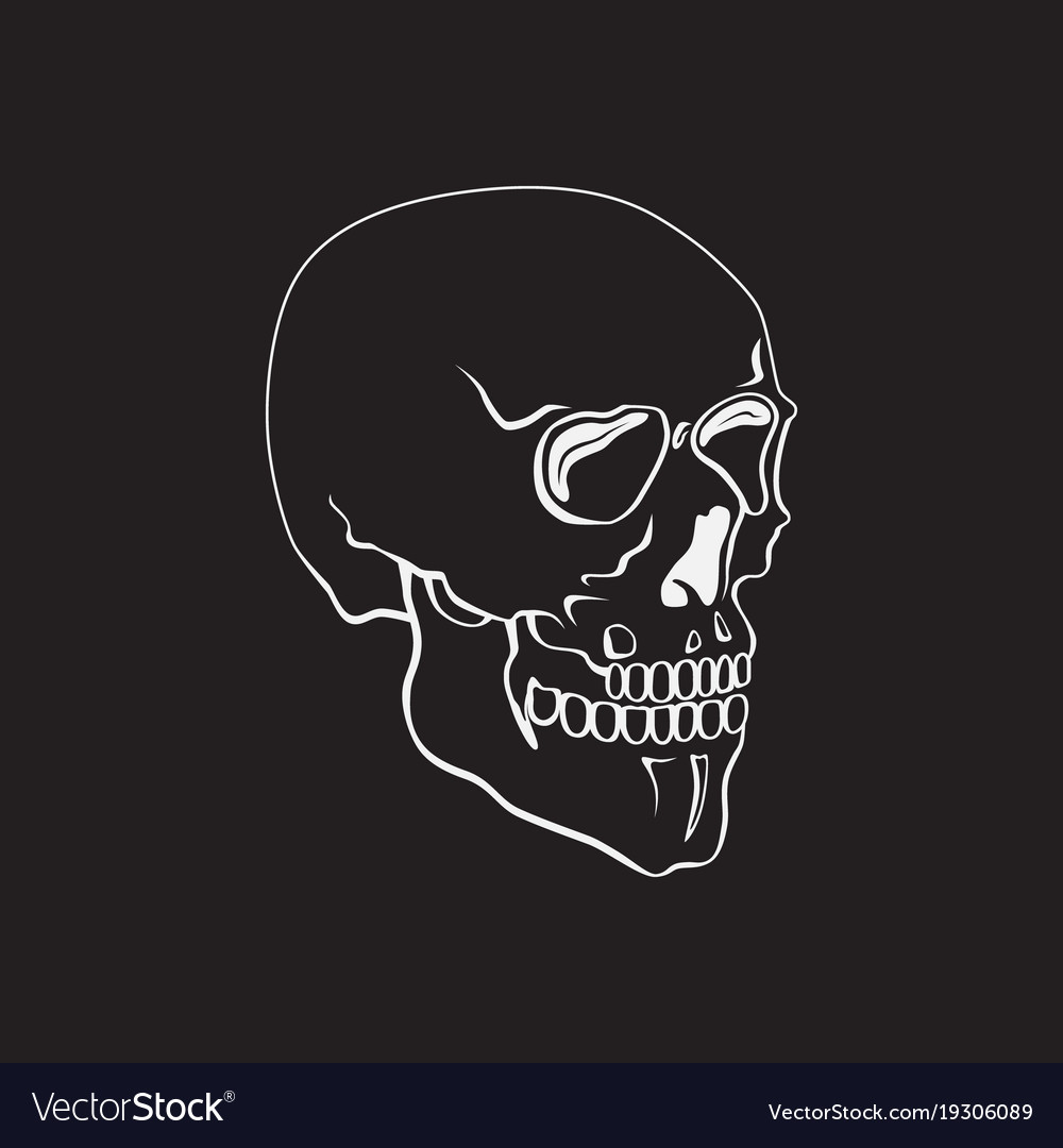 Hand drawn skull or symbol Royalty Free Vector Image