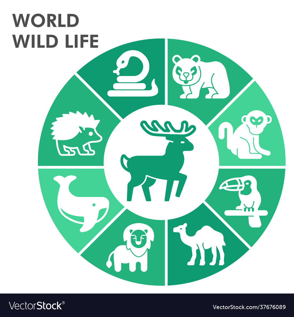 Modern world wildlife infographic design template