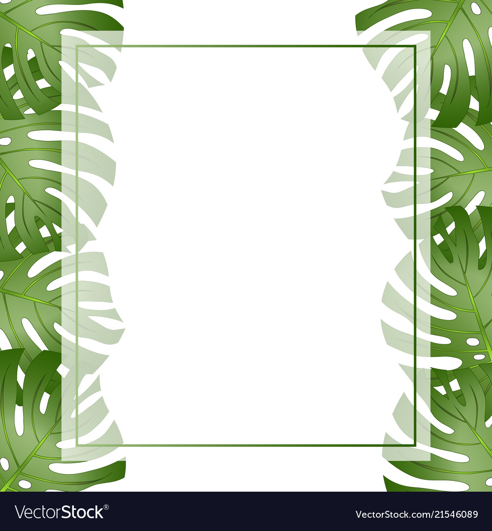 Download Philodendron monstera leaf banner card border Vector Image