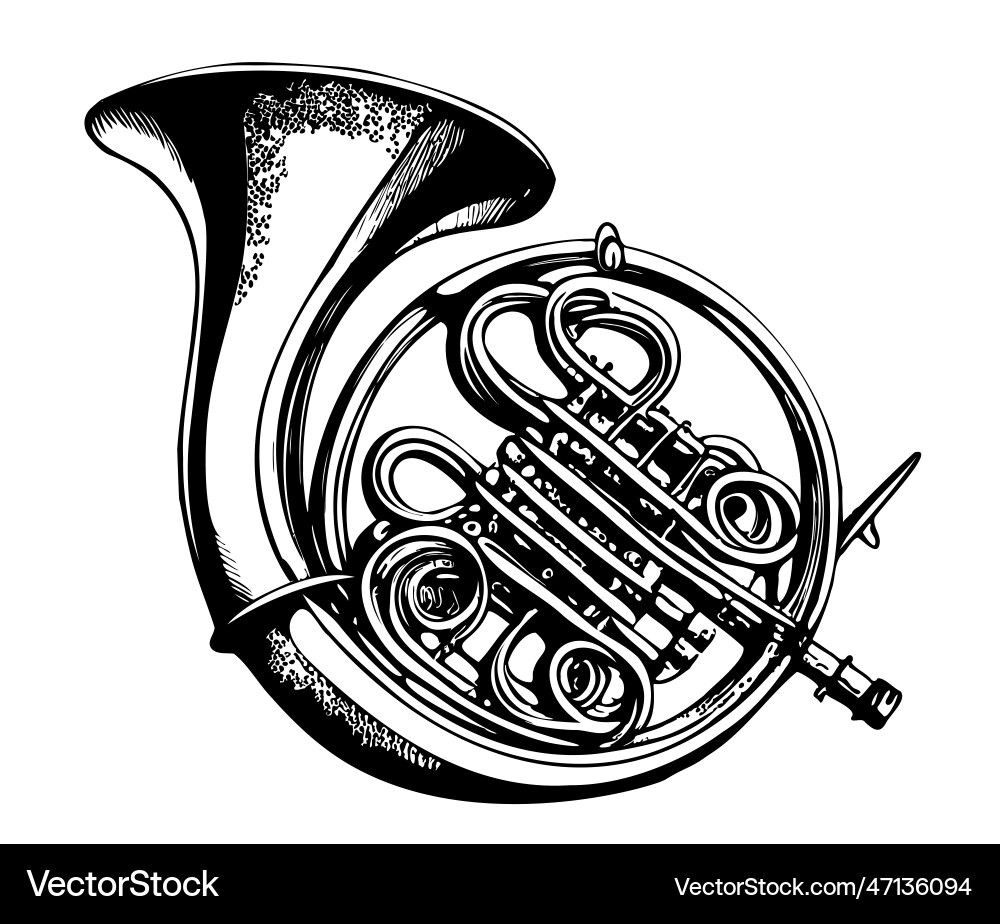 French horn scetch hand drawn in doodle style Vector Image