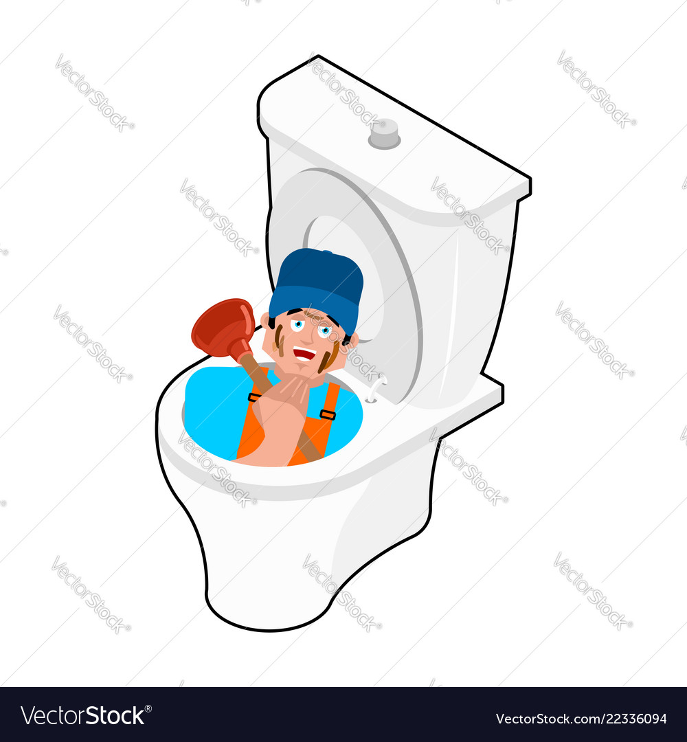 plunger wc