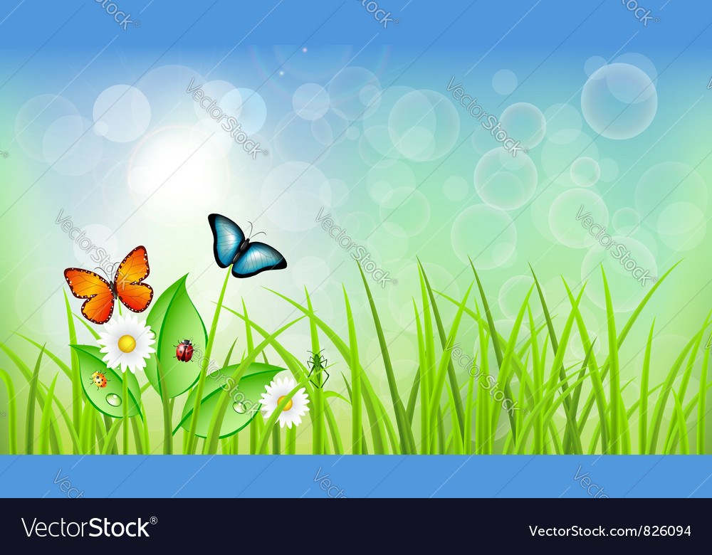 Spring background with grass