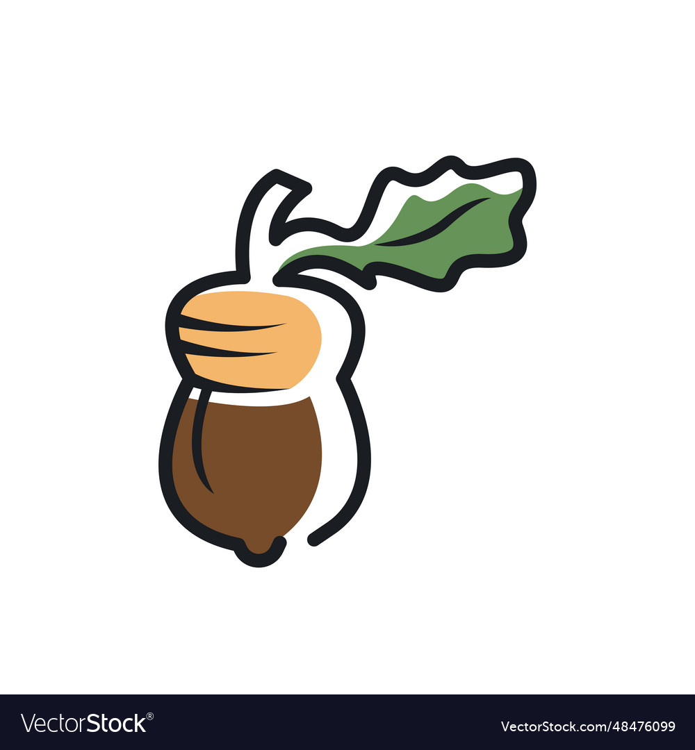 Oak acorn icon design