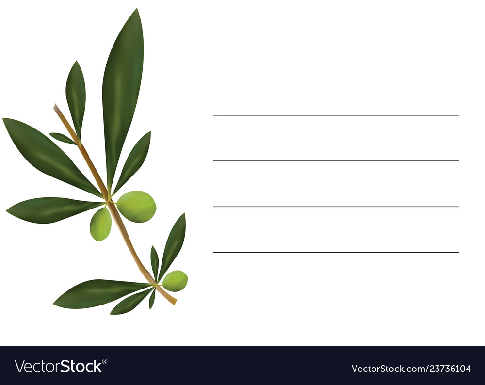 Card with olive tree and empty lines to write