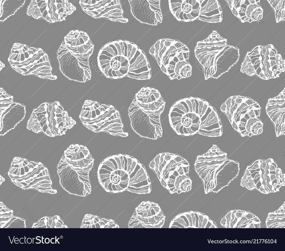 Seamless pattern from white seashell