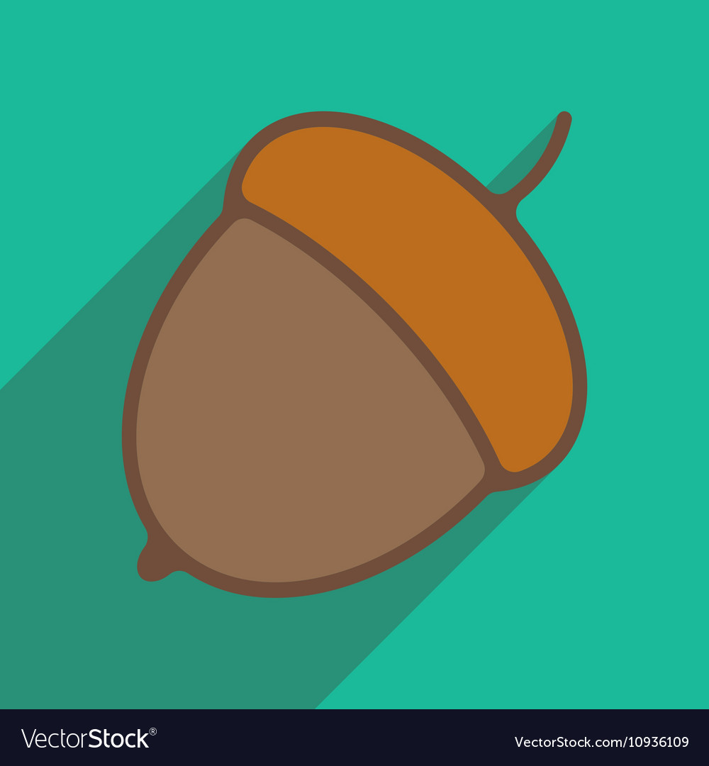 Flat with shadow icon and mobile application acorn