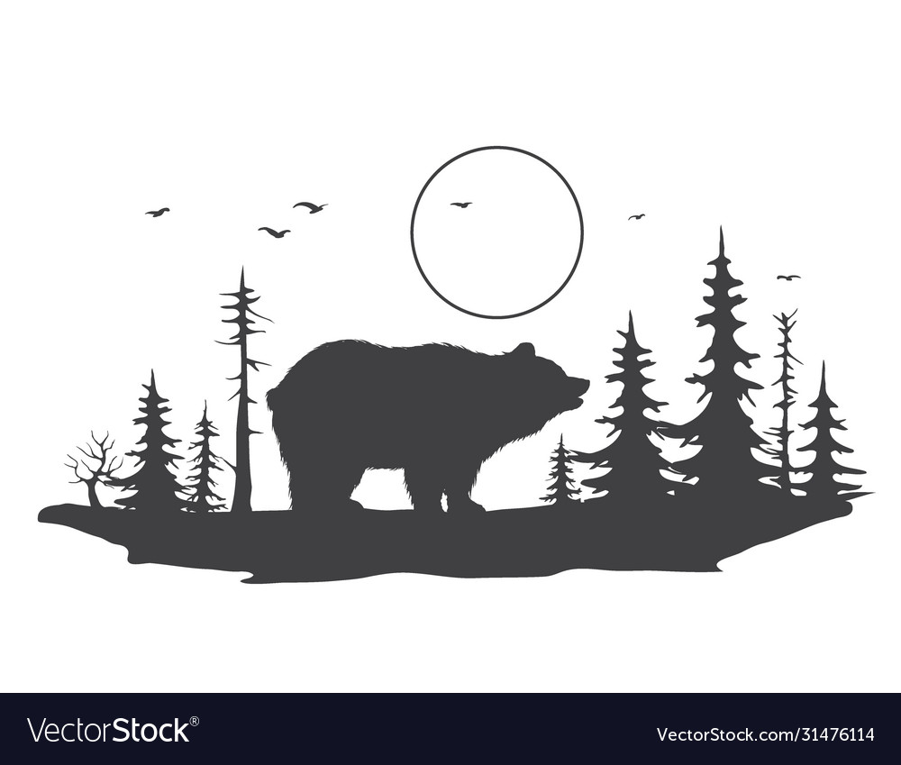 Forest Illustration Vector