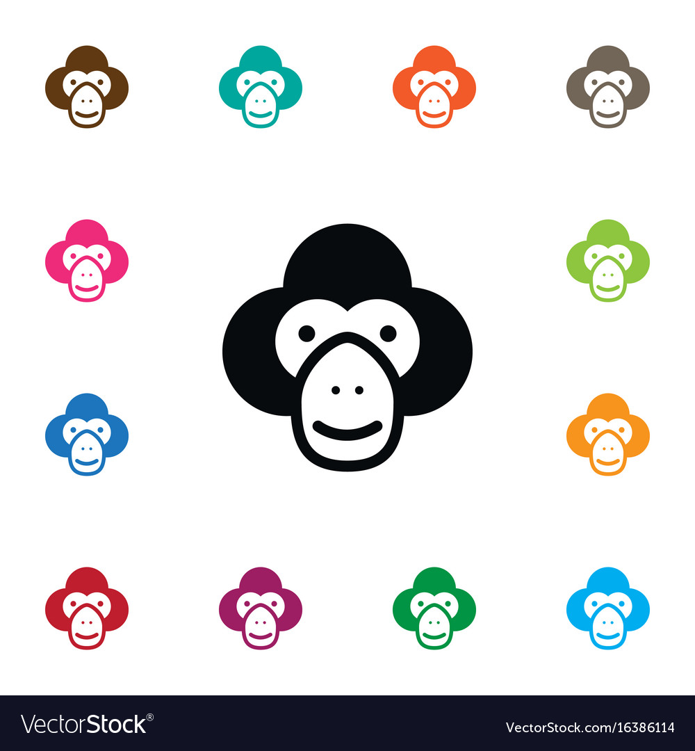 Isolated chimp icon capuchin element can