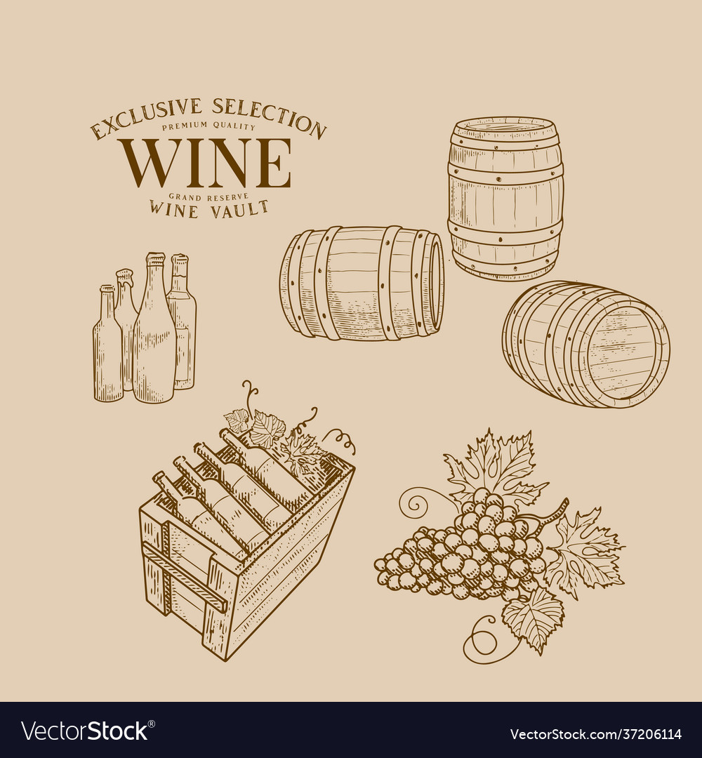 Vintage set wine objects Royalty Free Vector Image