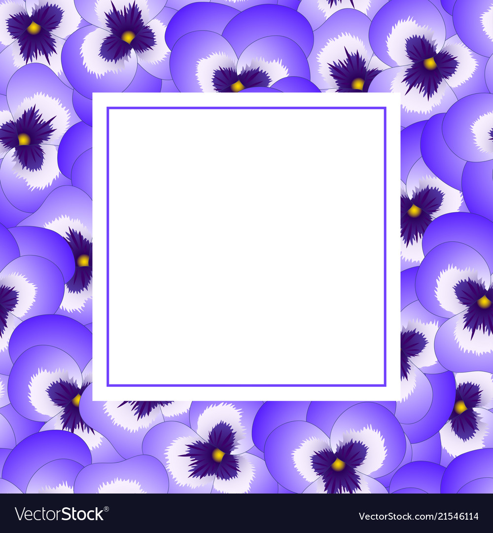 Violet pansy flower banner card