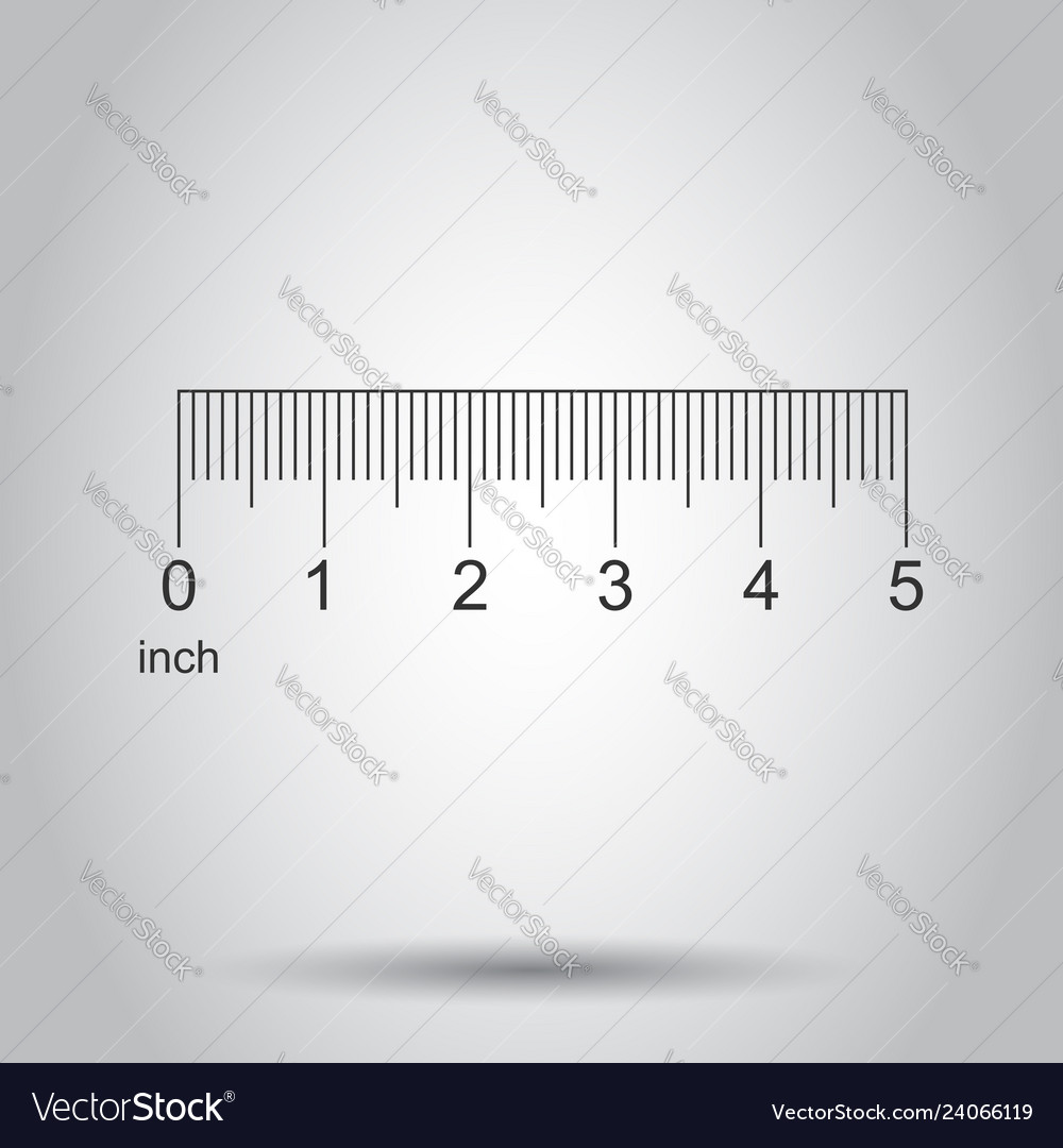 Wooden different size rulers 6 8 and 12 inch long Vector Image