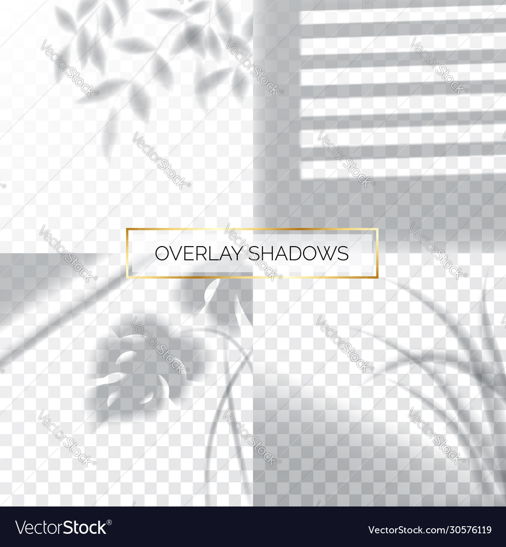 Set shadows overlay effects mock up window vector image Set shadows overlay effects mock up window