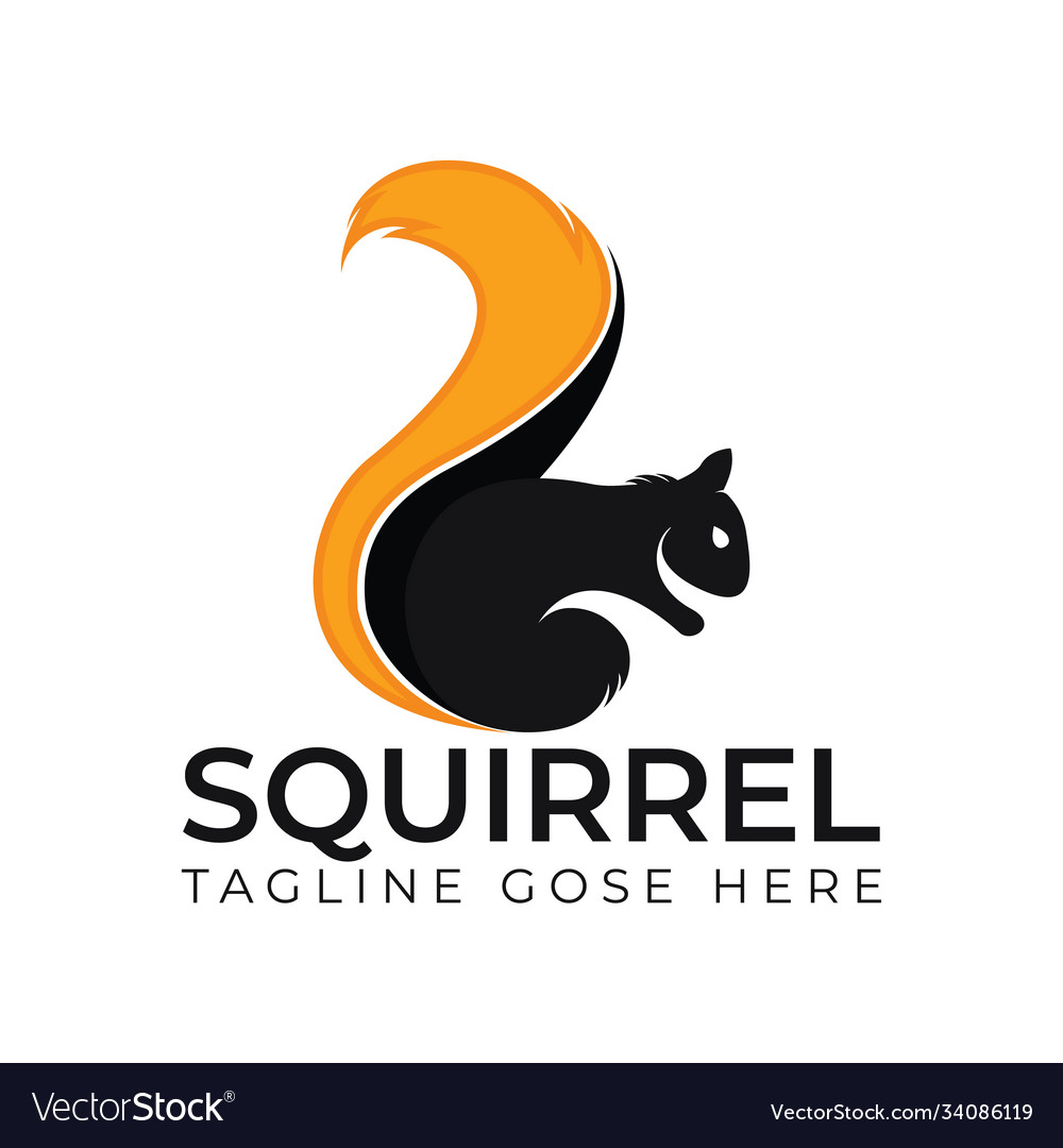 Squirrel logo design template Royalty Free Vector Image