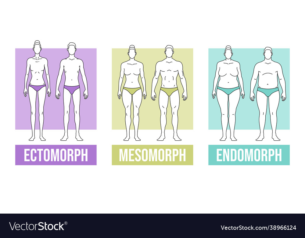 Endomorphic Body Shape Men