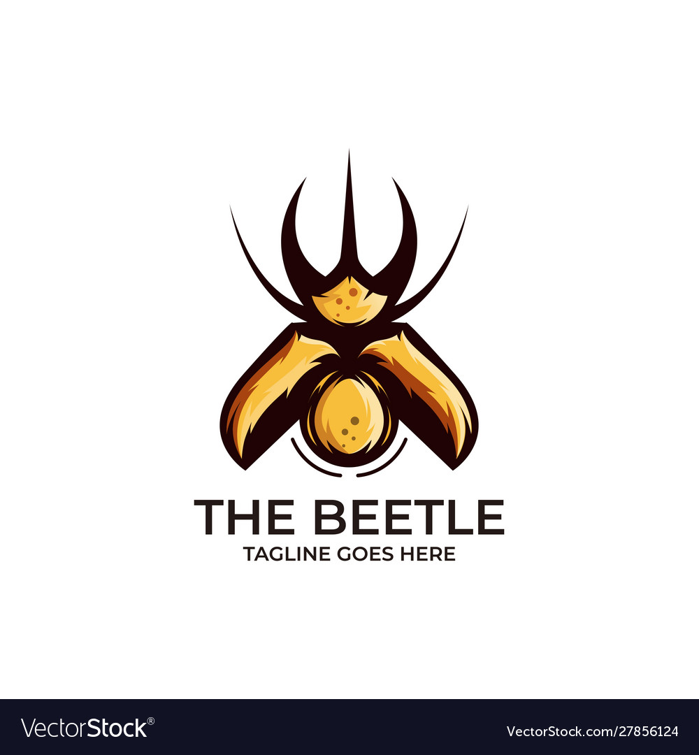 Insect beetle design concept template