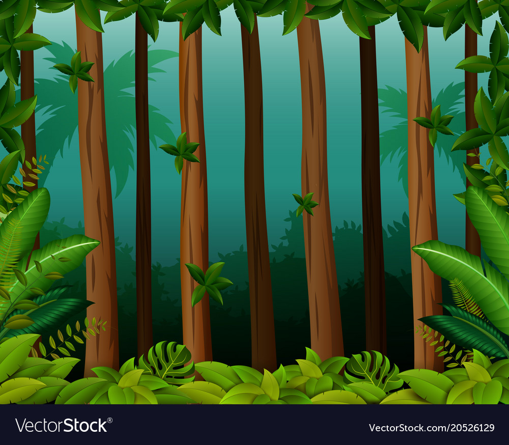 Background scene with trees in forest