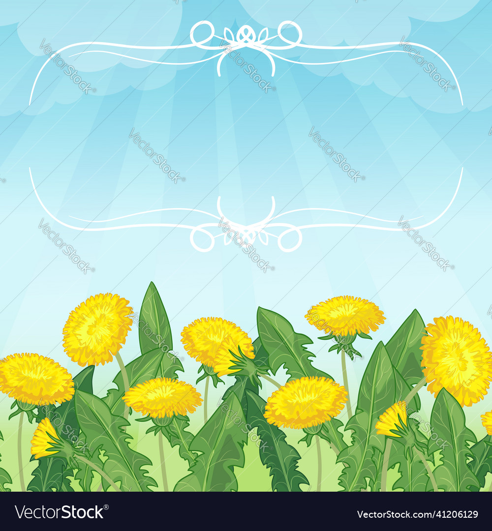 Background with dandelion