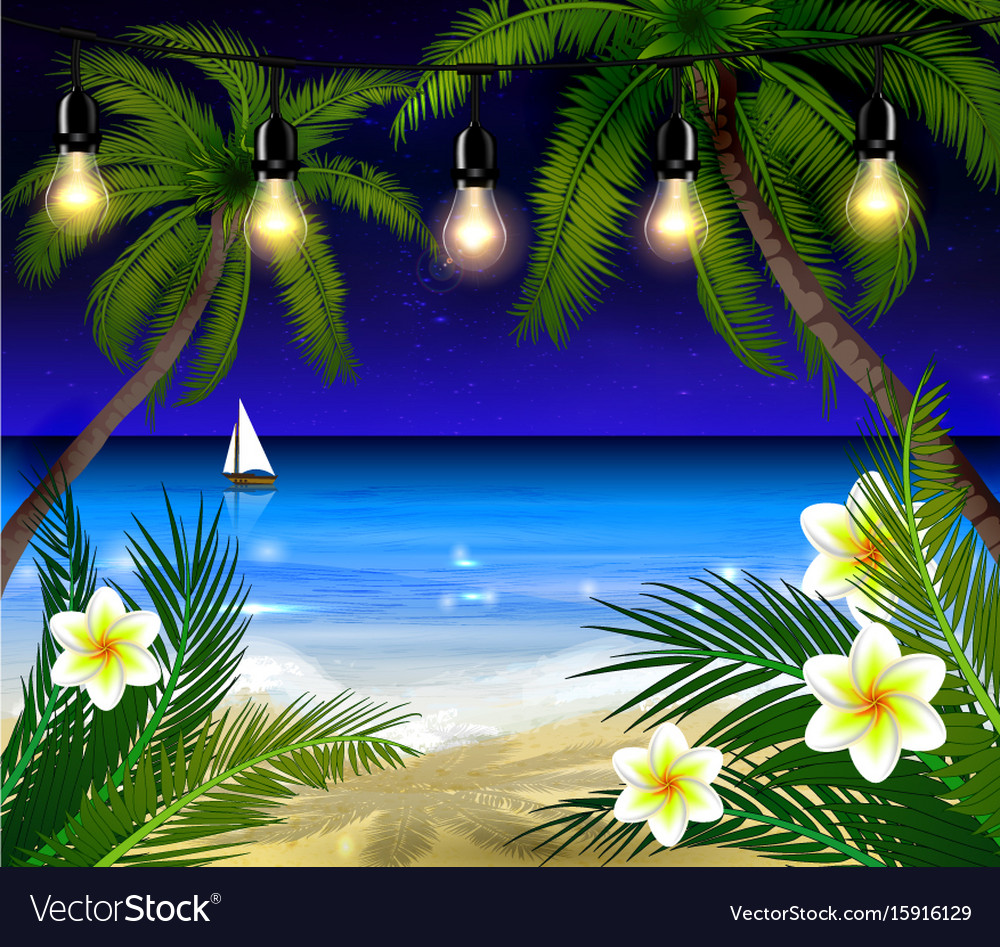 Palm Trees At Night Royalty Free Vector Image Vectorstock