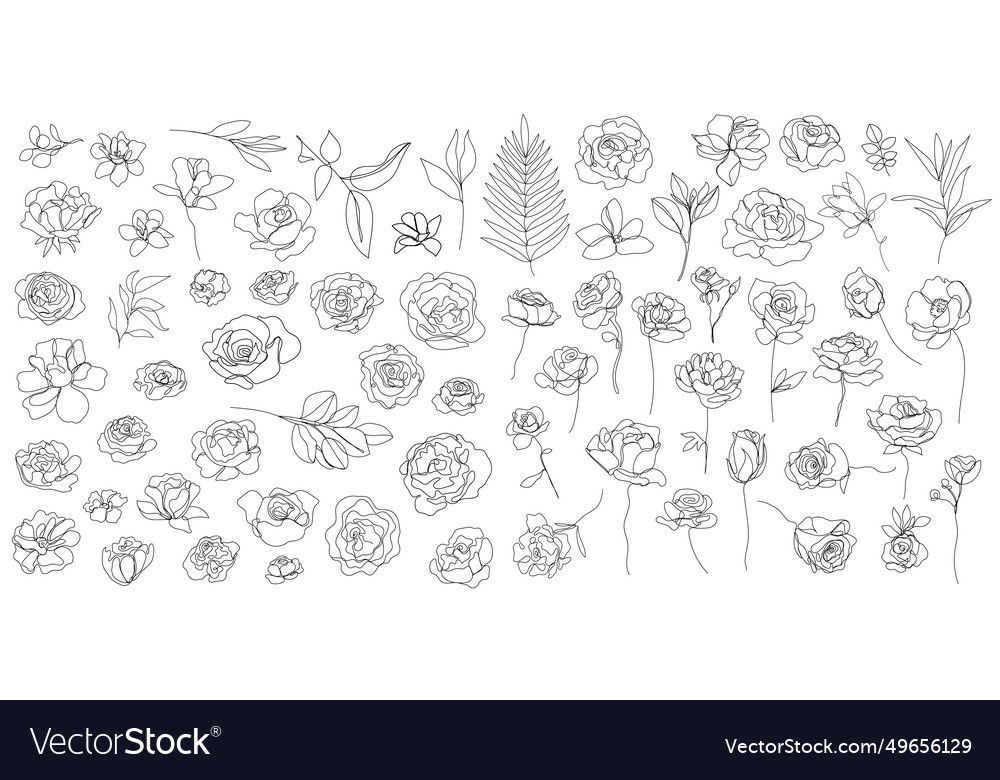 Set of one line art flowers continuous Royalty Free Vector