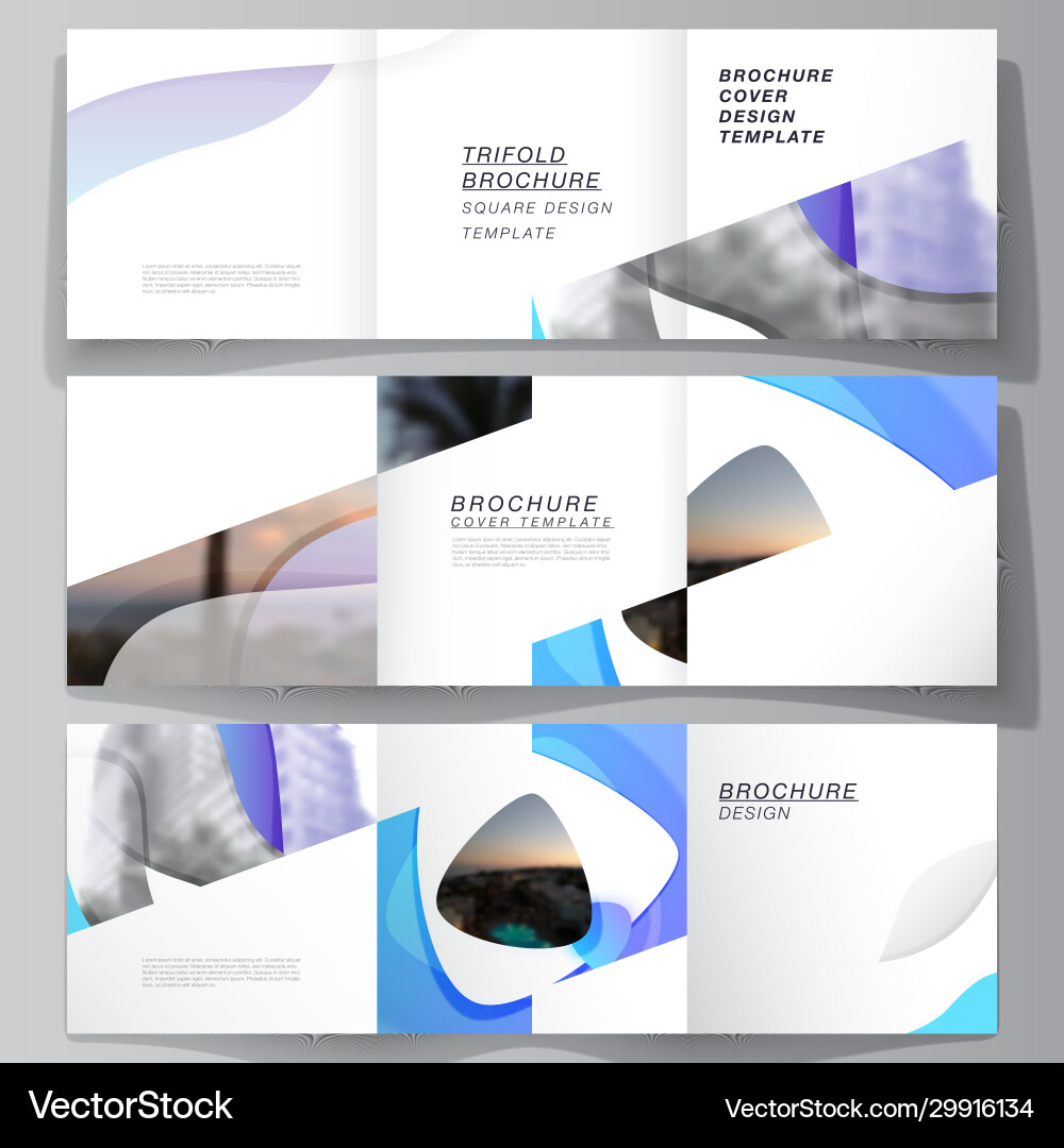 Minimal editable layout square Royalty Free Vector Image