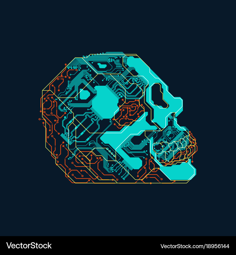 Skull Royalty Free Vector Image - VectorStock
