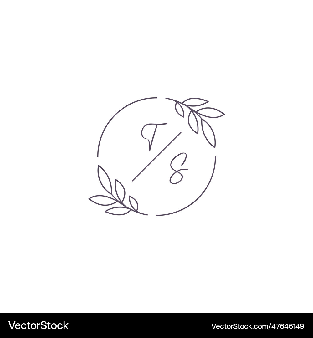 Simple Initials Vector Initials ts monogram wedding logo with simple Vector Image