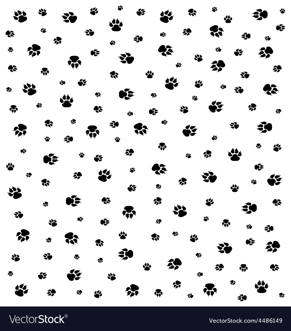 Trace Of Dogs Royalty Free Vector Image - Vectorstock