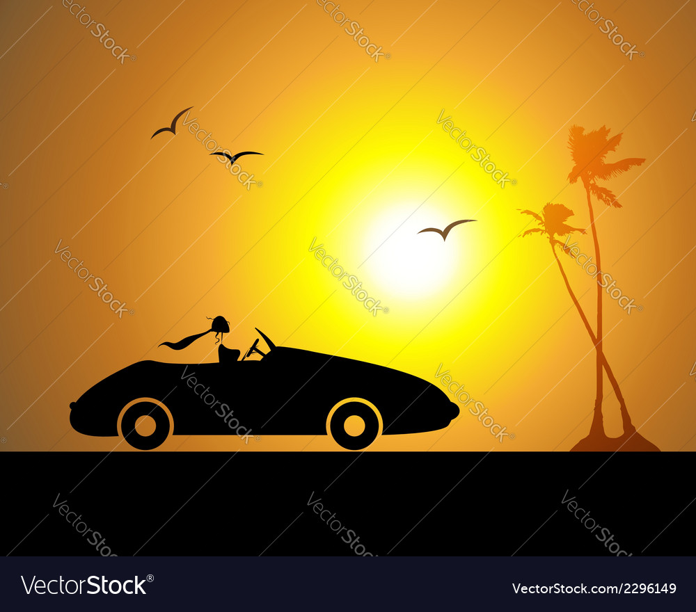 Woman driving car sunset Royalty Free Vector Image