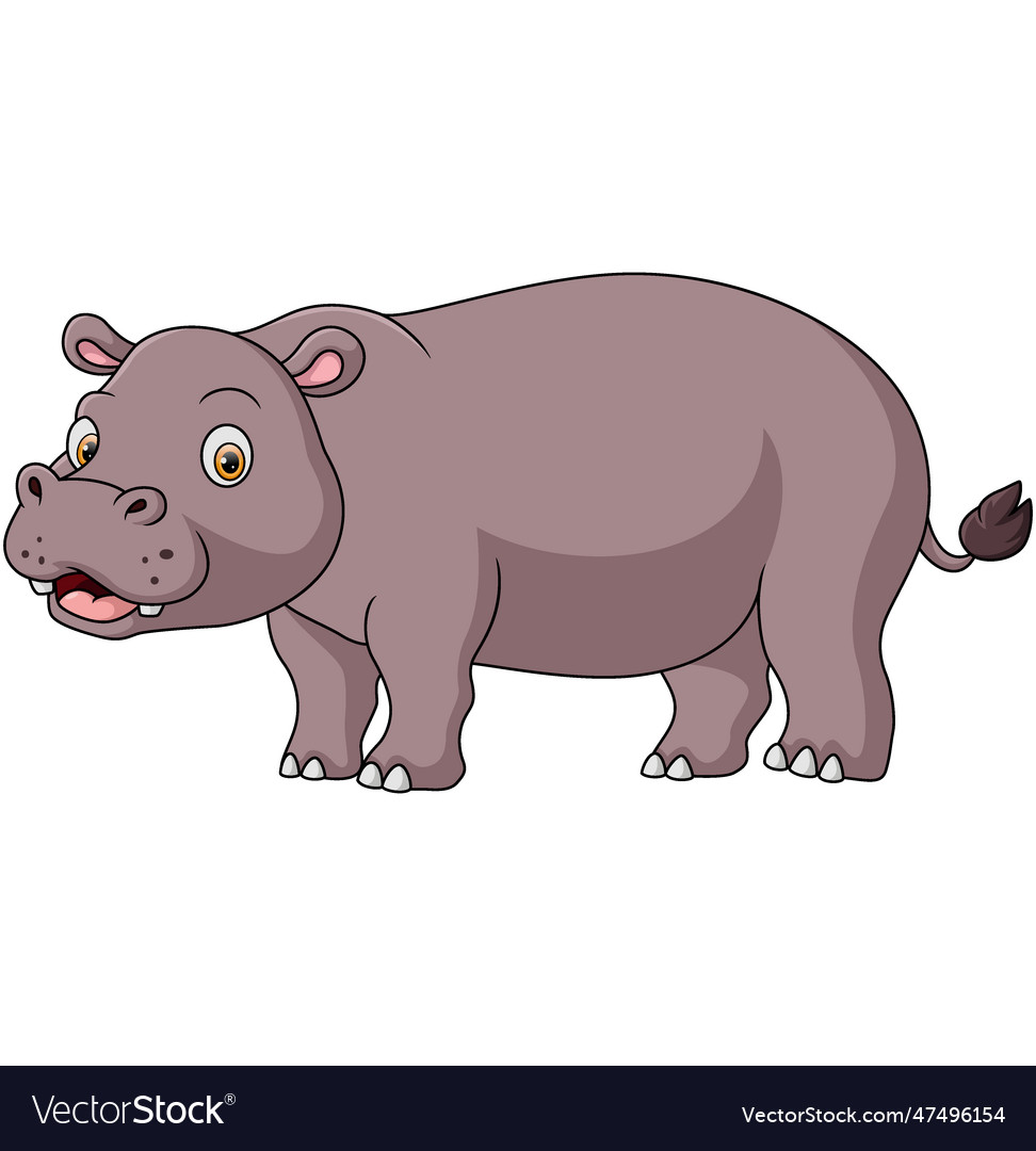 Cute hippo cartoon on white background Royalty Free Vector