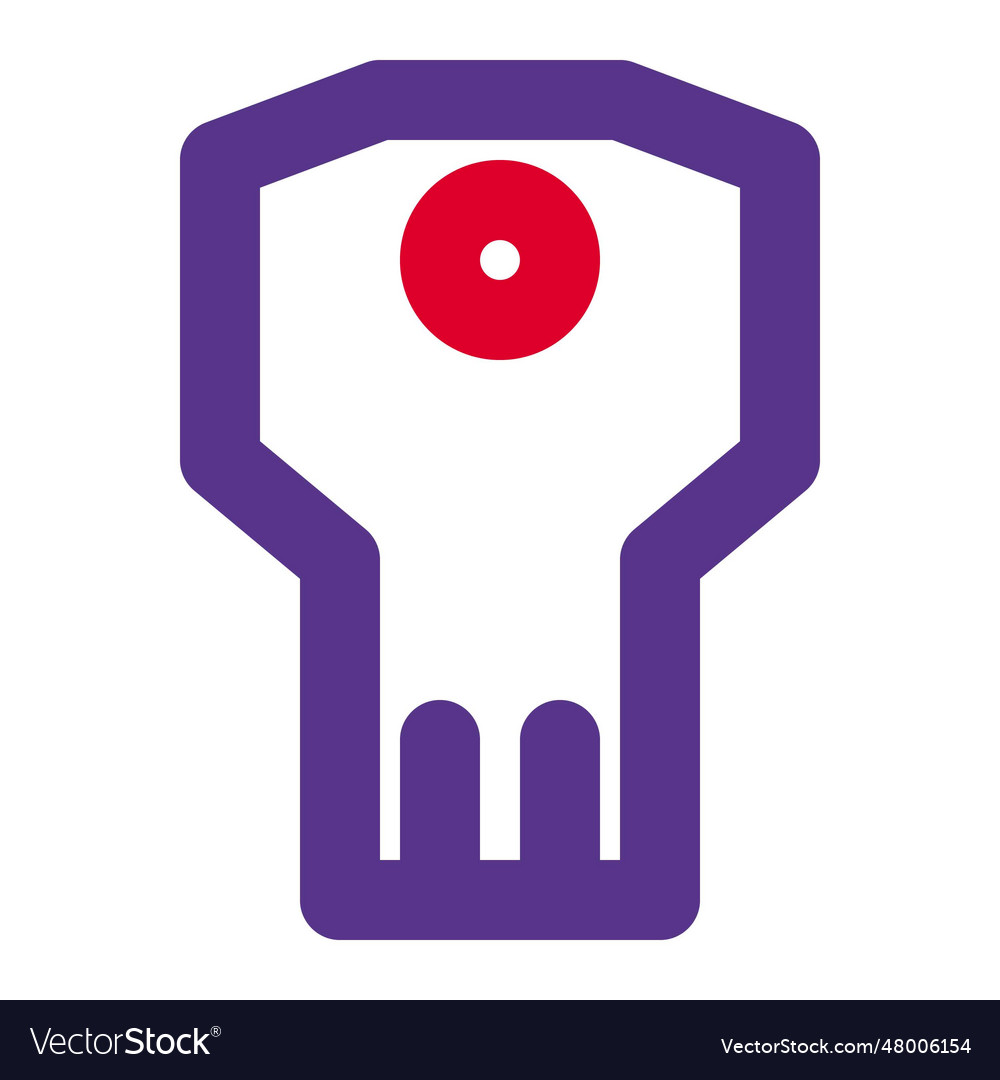 Key used for encryption of programs