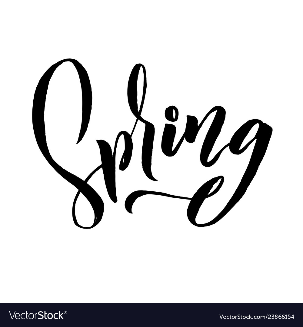 Spring trendy script lettering design vector image Spring trendy script lettering design