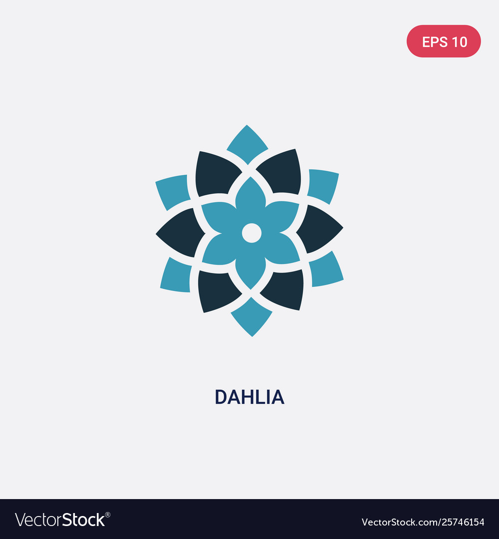 Two color dahlia icon from nature concept