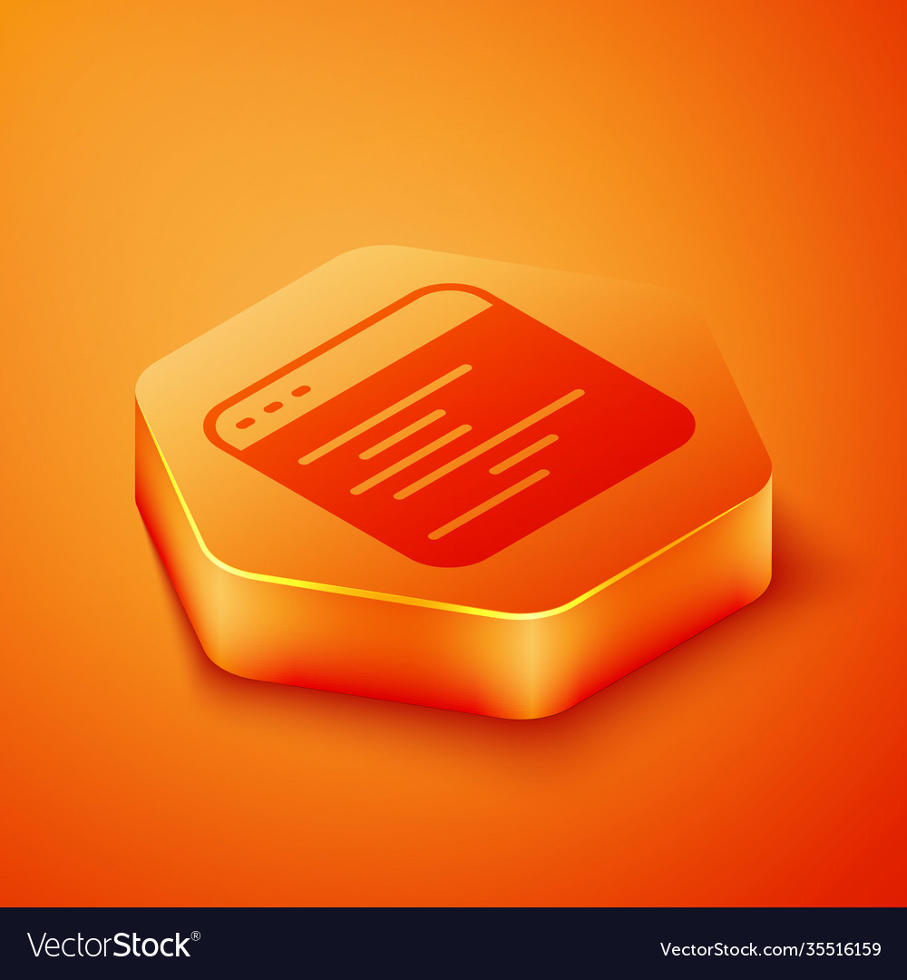 Isometric software web developer programming code vector image Isometric software web developer programming code