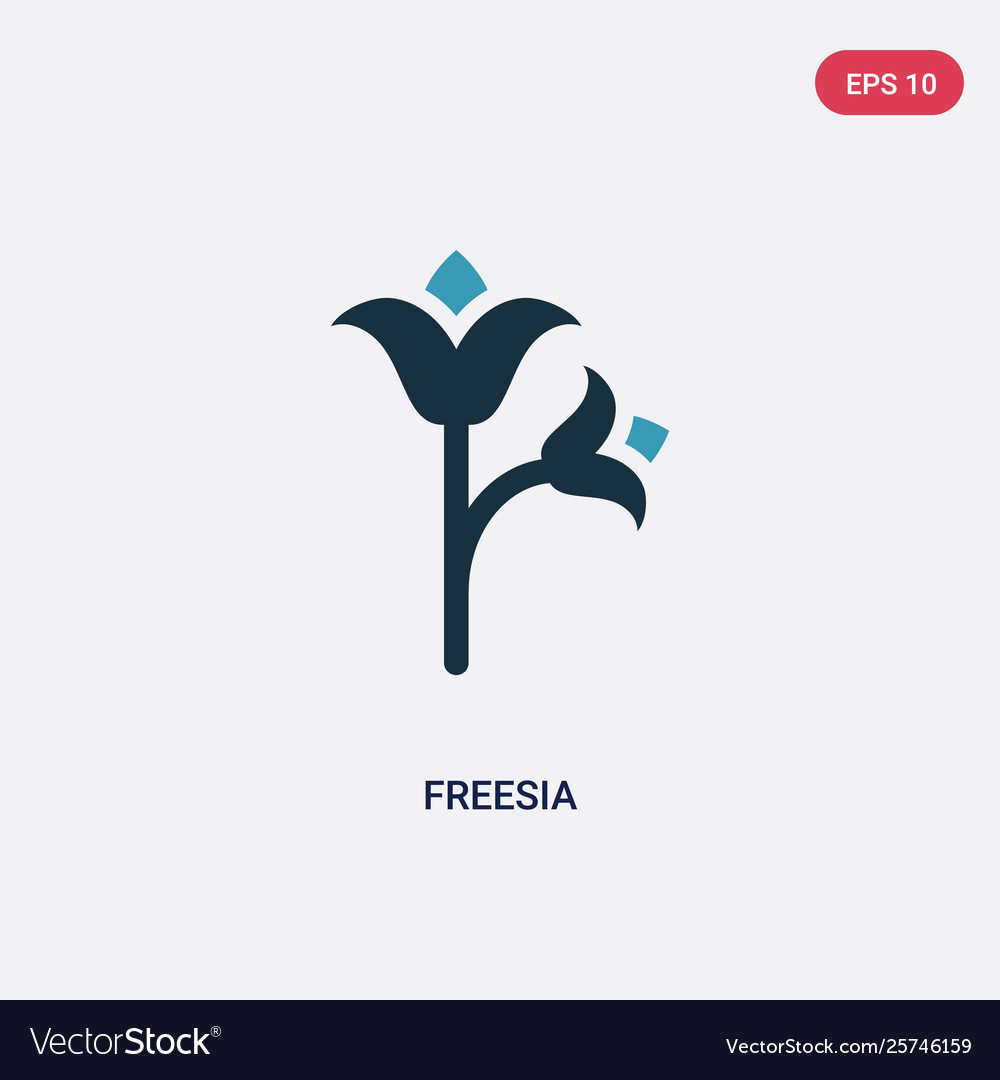 Two color freesia icon from nature concept Vector Image Two color freesia icon from nature concept