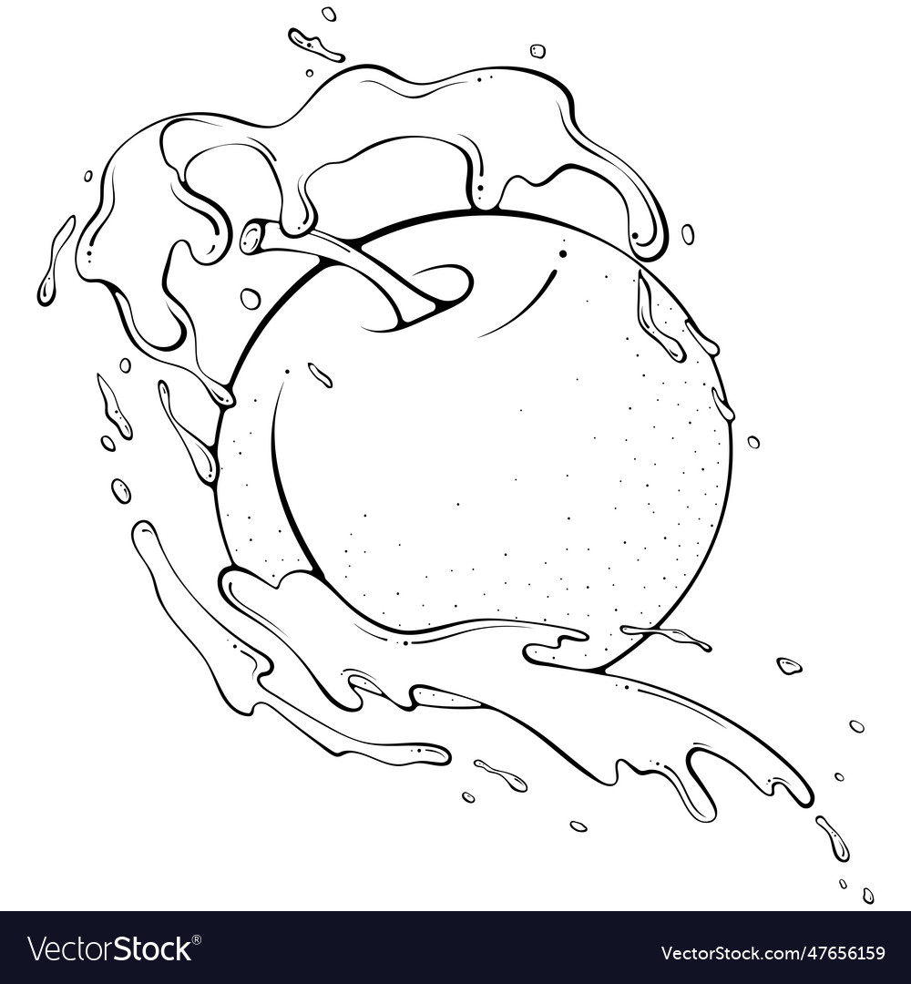 Whole round apple with splash line art