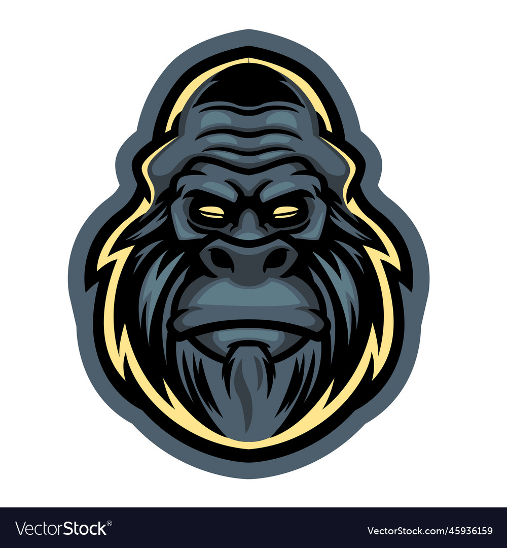 Wild monkey in face front look colored gorilla