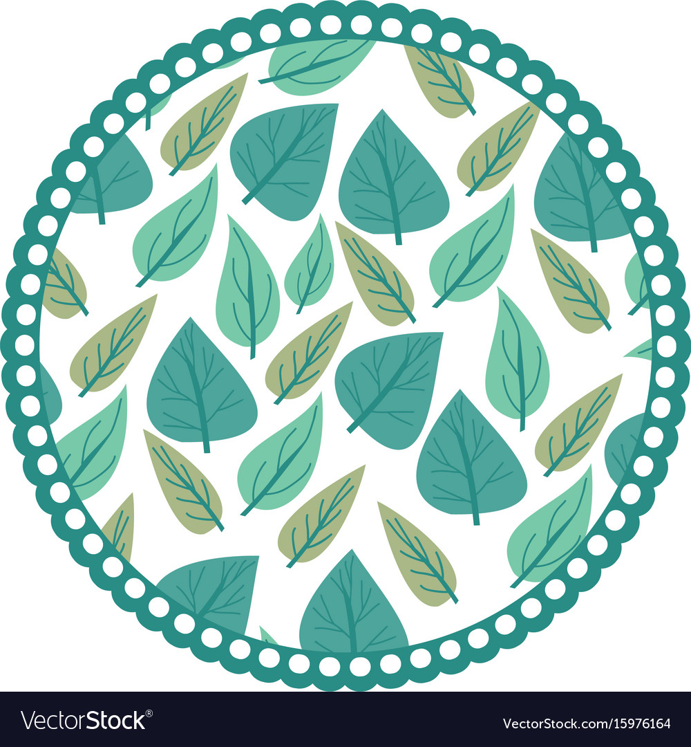 White background with colorful circular frame