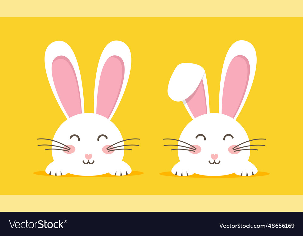 Easter rabbit bunny