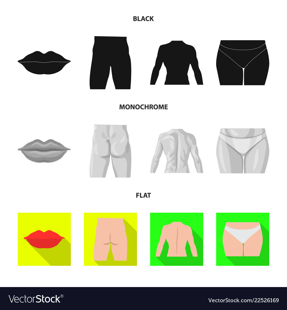 Isolated object of human and part icon collection vector image Isolated object of human and part icon collection