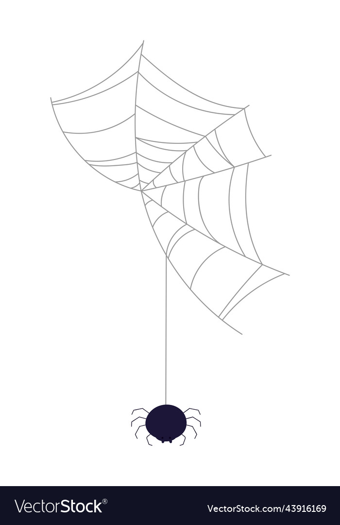 Isolated Spider on Cobweb