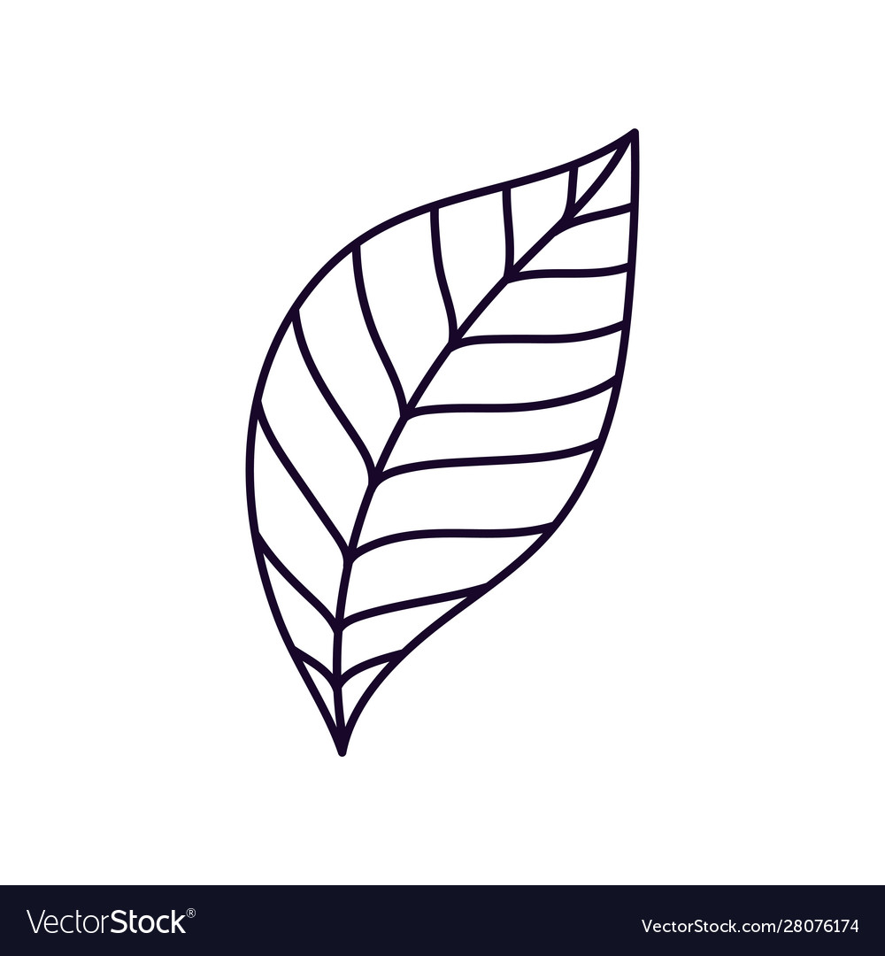 Leaf foliage nature ecology icon Royalty Free Vector Image